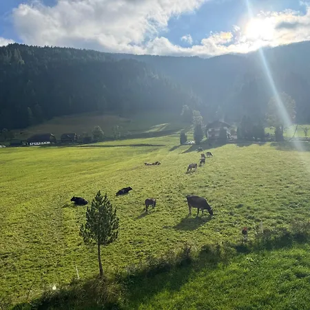 Bergwiese 225 Apartamento Donnersbachwald