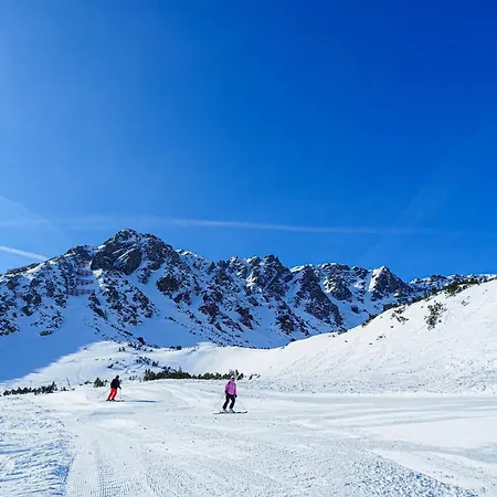 Apartamento Bergwiese 225 *