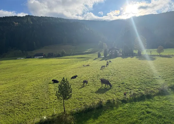 Bergwiese 225 Apartman Donnersbachwald