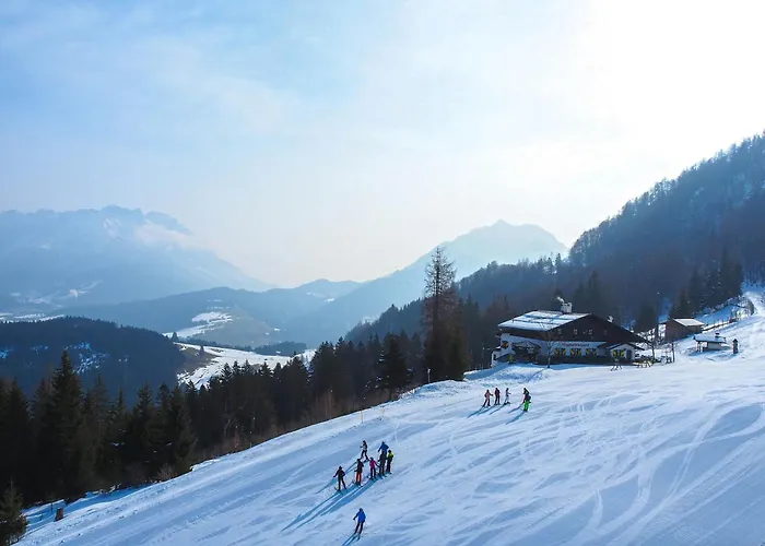 Bergwiese 225 Donnersbachwald